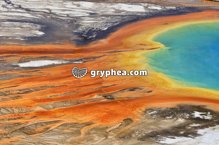 Grand Prismatic springs (Yellowstone NP, USA) - gryphea.com